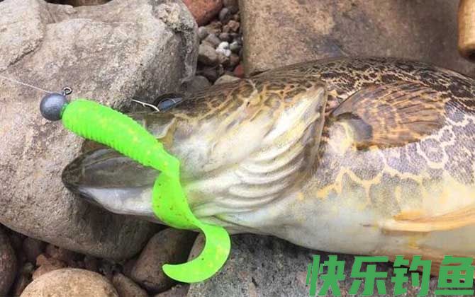为什么钓鱼人都讨厌玩路亚的？(图4)