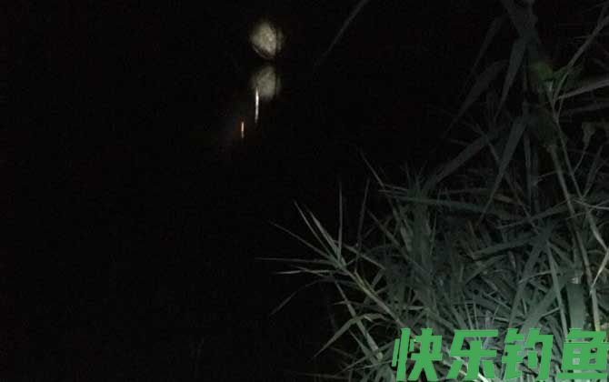 夜钓需要灯吗？(图3)