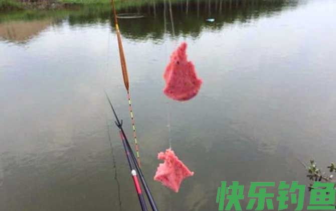 台钓新手如何入门教程(图4)
