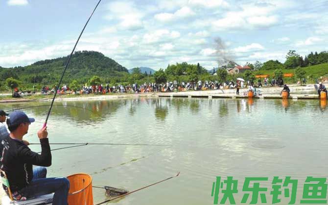 台钓是什么钓法？(图1)