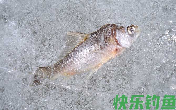 冰钓是什么意思?(图1) 冰钓是什么意思?(图1)