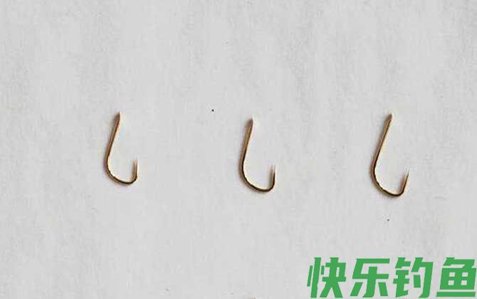 6号金袖钩可以钓多大鱼？(图2)