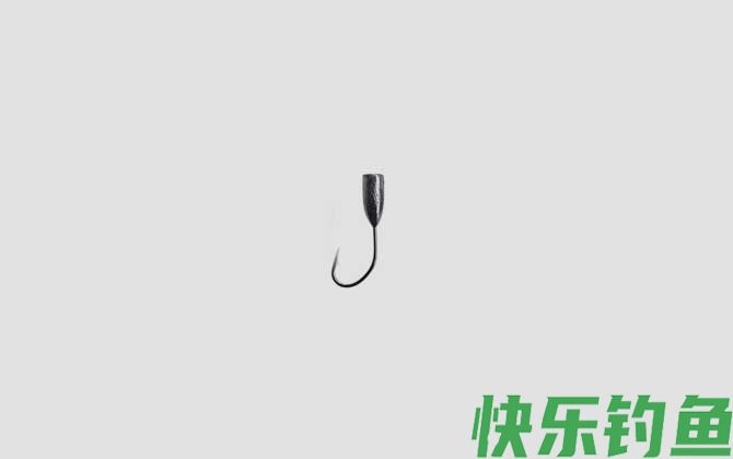 丸世朝天钩5号钓多大的鲫鱼？(图2)