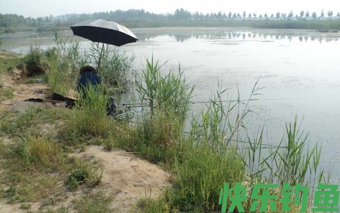 野钓用什么鱼竿最好？(图2)