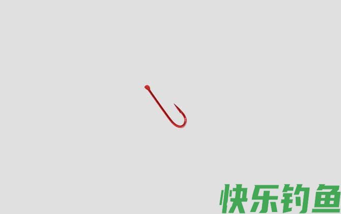 0.1号袖钩能钓多大的鱼(图1)
