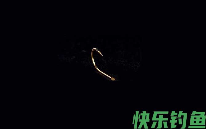 0.1号袖钩能钓多大的鱼(图2)