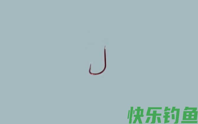 0.1号袖钩能钓多大的鱼(图3)