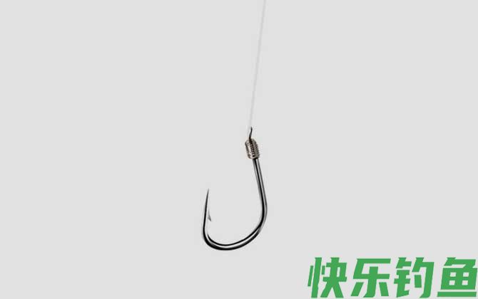 5.0号子线拉力值有多大(图1)