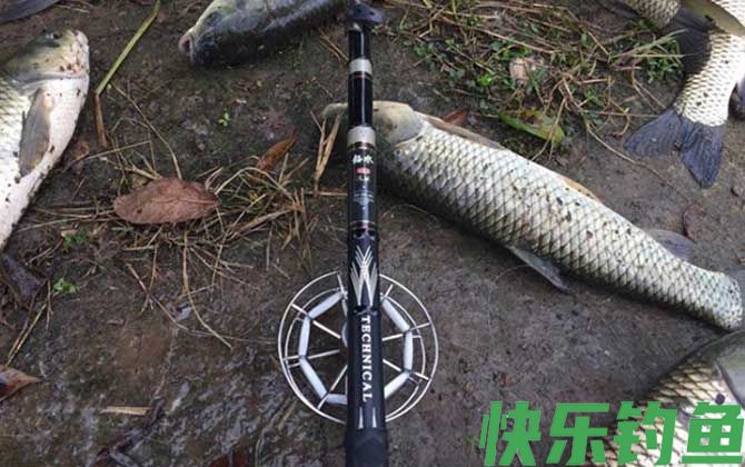 谷麦钓法逗钓线组搭配技巧(图1)