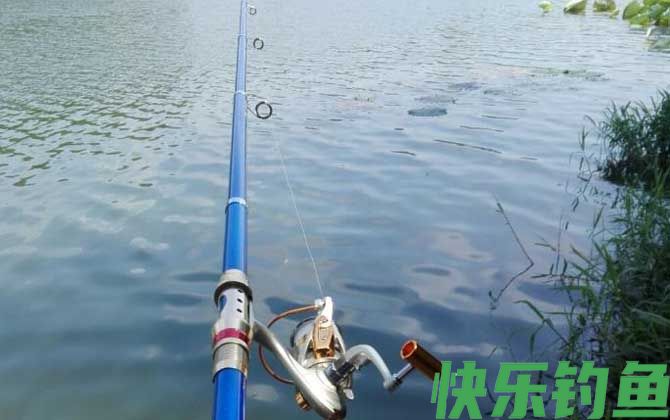 海竿是什么意思(图2)