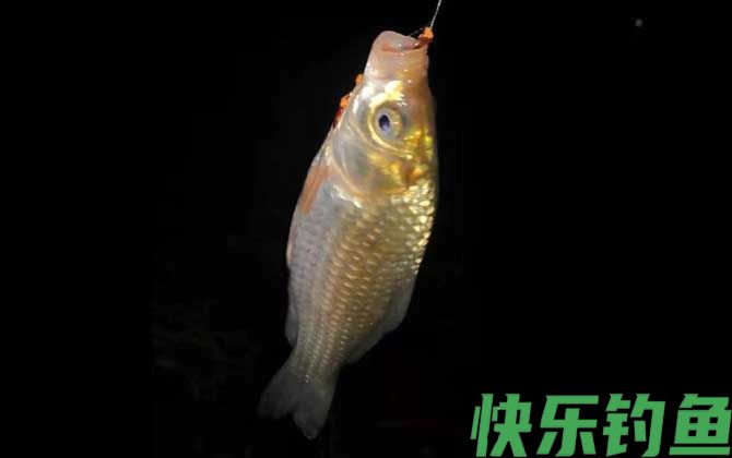夜钓用夜光漂好还是夜钓灯好(图3)