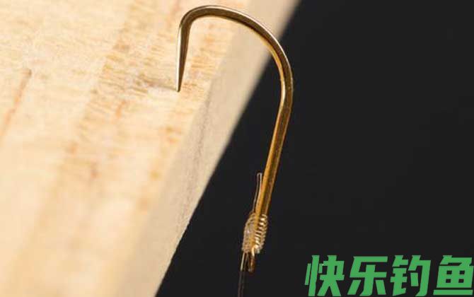 金海夕6号钩钓多大鱼(图4)
