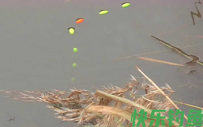 七星漂流水能钓鱼吗(图3)