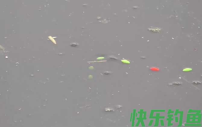 野钓用七星漂好还是立漂好(图3)