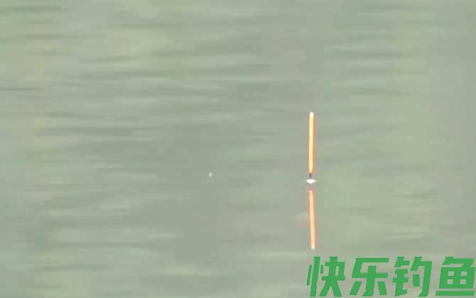 野钓用七星漂好还是立漂好(图4)