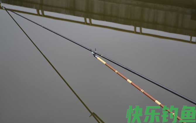 台钓竿什么牌子质量好(图1)