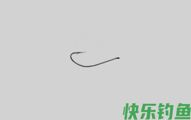 挂红虫钓鱼用什么钩型(图2)