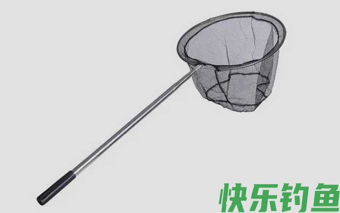 钓鱼必须要用抄网吗(图2)