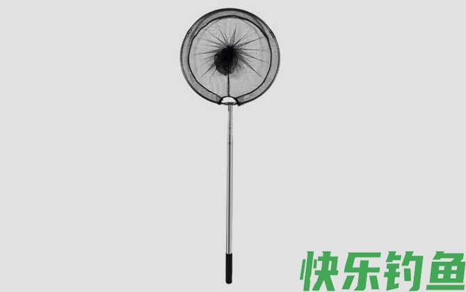 钓鱼必须要用抄网吗(图1)