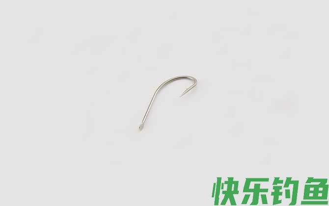 冬天钓鲫鱼用丸世几号钩(图3)