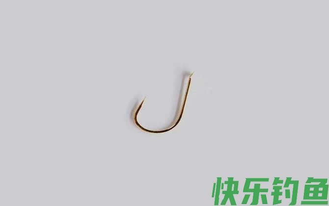 钓1-3斤罗非用多大鱼钩(图3)