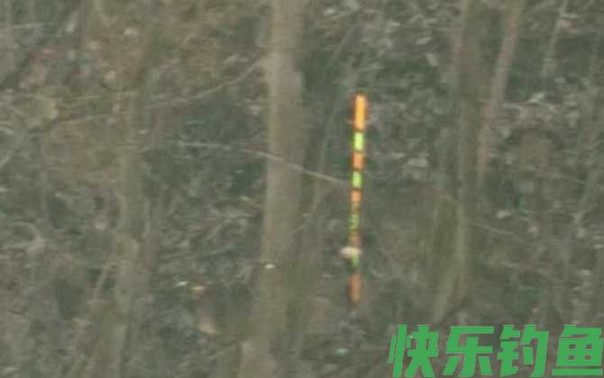 野钓鲫鱼用什么漂型的漂(图6)