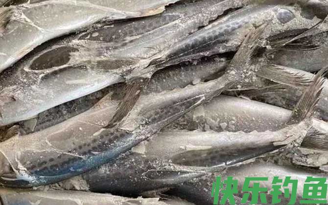 马鲛鱼价格多少钱一斤(图3)