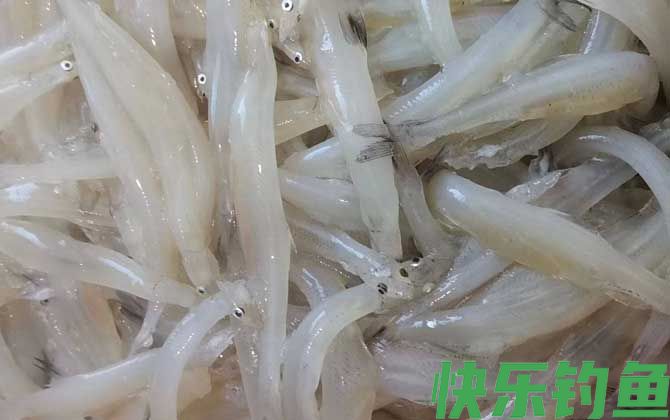 最适合孩子吃的八种鱼(图7)