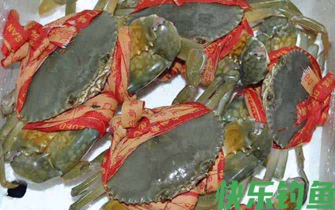 青蟹怎么保存不容易死(图2)