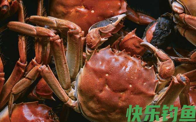 哺乳期可以吃螃蟹吗(图2)