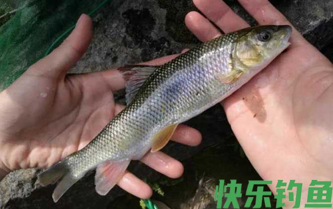 “牢底坐穿鱼”是什么意思(图2)