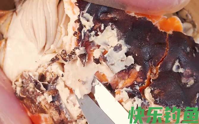 螃蟹六不吃是哪六不吃(图4)